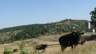 България дискриминира чуждестранните купувачи на земя, смята Еврокомисията