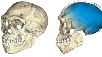 Човечеството е значително по-старо, отколкото подозирахме