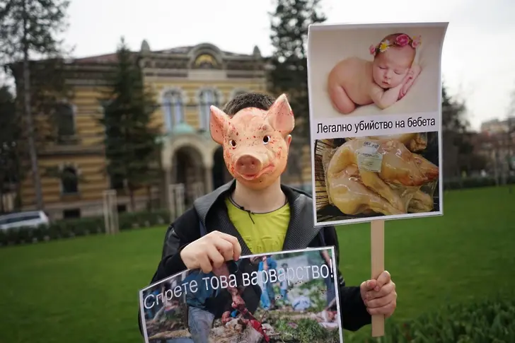 Малко вегани в защита на много агънца (СНИМКИ)