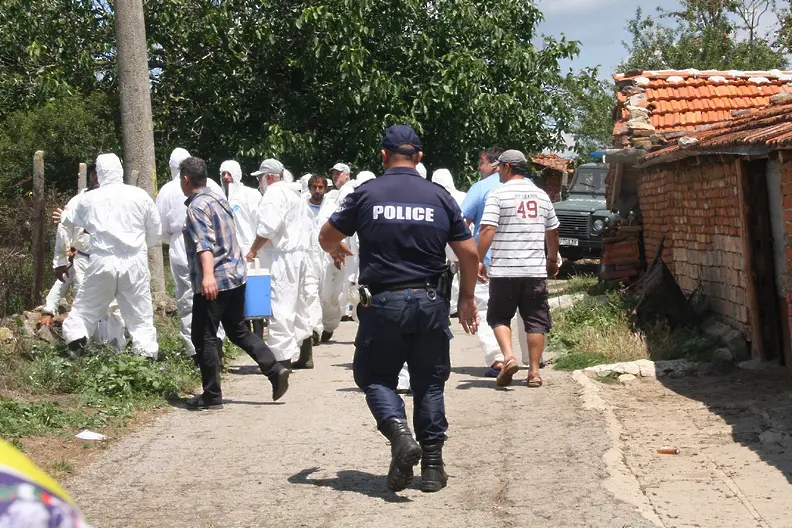 Отлагат временно евтаназията на доказано заразени с чума животни