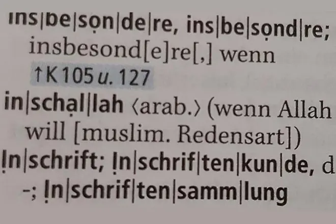 Истерия в социалните мрежи: „Иншалах“ станала немска дума