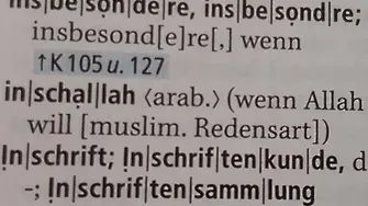 Истерия в социалните мрежи: „Иншалах“ станала немска дума