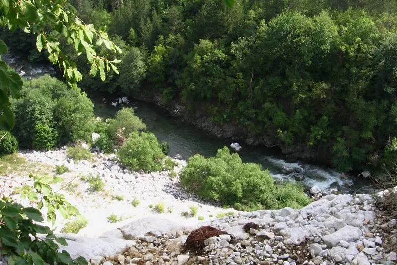 Фирма за почистващи препарати е замърсила водите на Тунджа край село Ягода