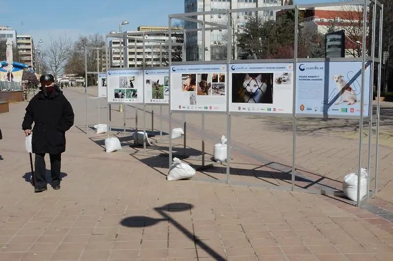 Здравният министър сменя шефа на болницата в Добрич. Ситуацията там не е добра