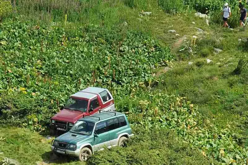 Незаконно движение на джипове в Рила и една 