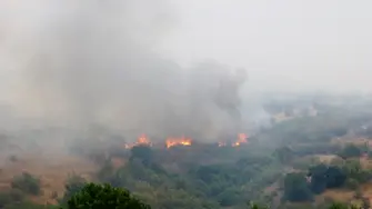 Голям пожар гори в Свиленградско