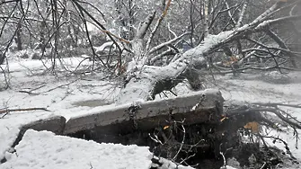 Щабът в 19 ч.: 100 села без ток, скали на жп релсите - очакват се мразове