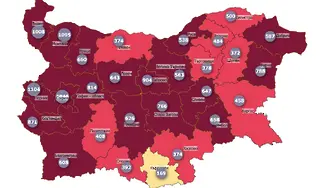 COVID в България през последните 14 дни в графики