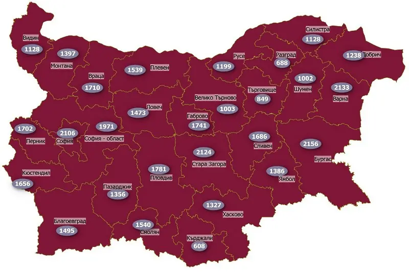 COVID картата: изцяло в тъмночервено. Омикрон вече доминира в България