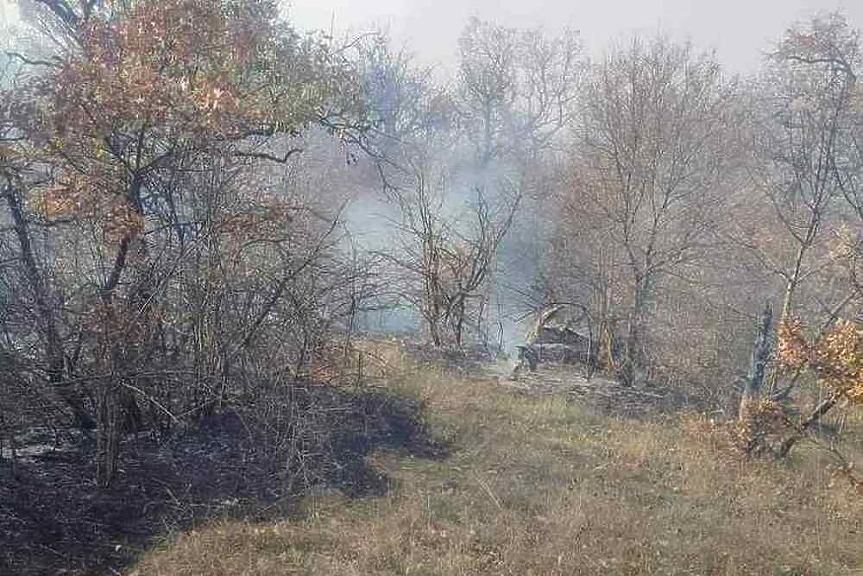 Горят 300 дка в границите на полигона 