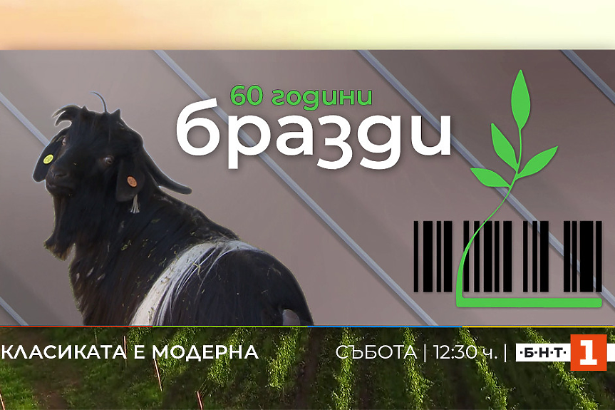 ​​​​​​​Класиката е модерна! Предаването „Бразди“ отбелязва 60 години в ефира на Българската национална телевизия