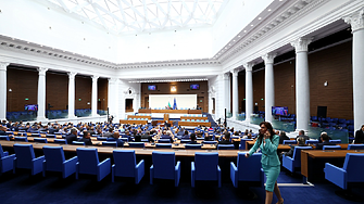 Парламентът сезира прокуратурата, МВР, ДАНС и МФ срещу Ивелин Михайлов